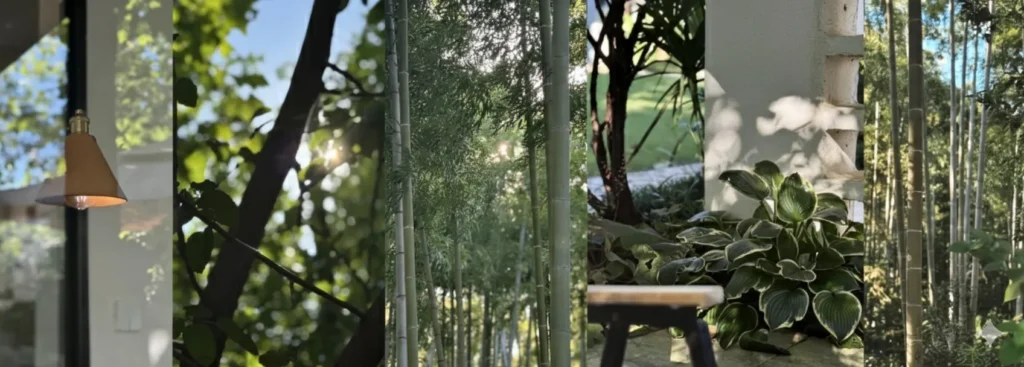 The landscape design inspiration for the quiet courtyard corner integrates natural green plants, bamboo shadows and light and shadow, as well as leisure decorations, to create a healing outdoor leisure space.