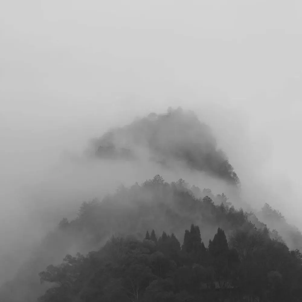 Sunlight filtering through a foggy woodland, representing the EOS spirit of hope and the restorative, calm atmosphere our products create within the home.